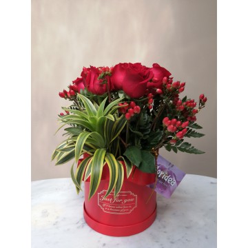 Box de 30 rosas rojas